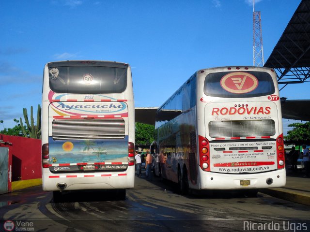 Garajes Paradas y Terminales Carupano por Ricardo Ugas