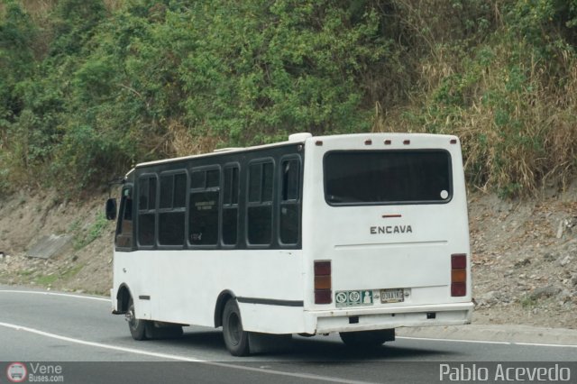 DC - Tigres de Plan de Manzano 204 por Pablo Acevedo