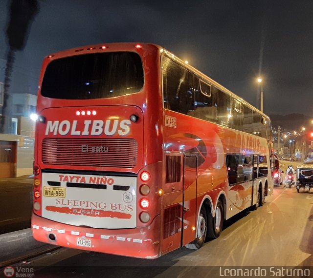 Transportes y Servicios Molibus 955 por Leonardo Saturno