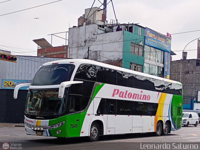 Expreso Internacional Palomino 7045 por Leonardo Saturno