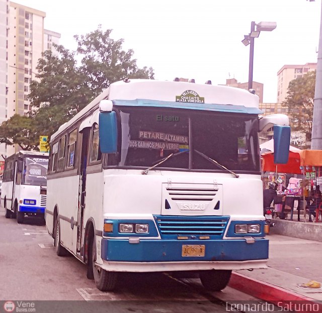 DC - Unin Conductores Palo Verde 81 por Leonardo Saturno