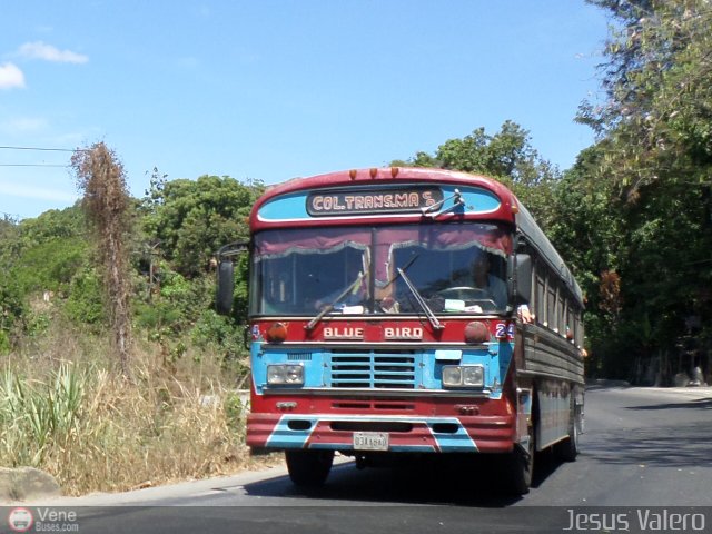 Colectivos Transporte Maracay C.A. 24 por Jess Valero