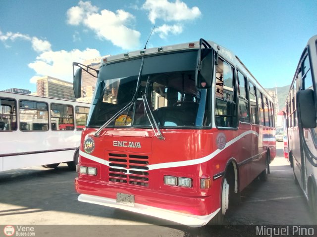 Uni�n Chara A.C. 034 por Miguel Pino