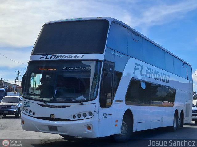 Expresos Flamingo 2020 por Josue S�nchez