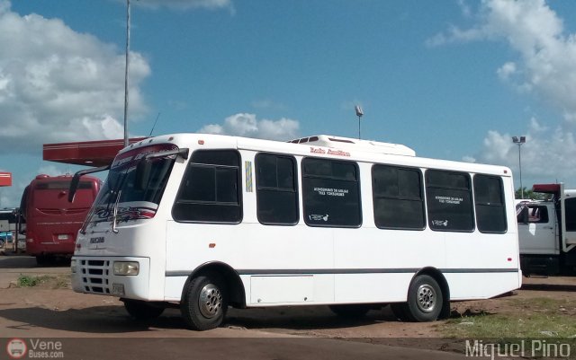 Ejecutivos Kova 100 por Miguel Pino