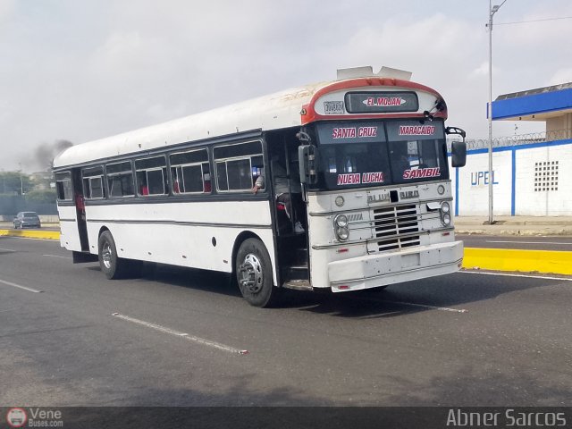 Colectivo San Rafael 28 por Abner Sarcos