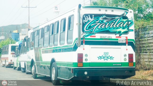 CA - A.C. Transporte Tocuyito Bicentenario 033 por Pablo Acevedo