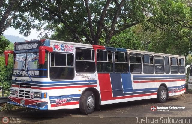 Expresos Pegamar 0004 por Joshua Solrzano