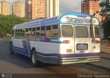 Transporte Palo Negro La Morita 2 086