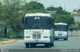 Coop. Transporte Menca de Leoni 010