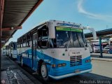 A.C. Mixta Fraternidad del Transporte R.L. 036 por Maikelvis Monroy