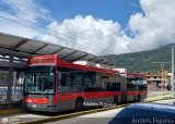 Trolmerida - Tromerca 24