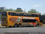 El Pulqui S.R.L. 019, por Alfredo Montes de Oca