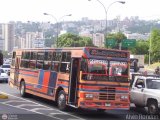 Transporte Unido (VAL - MCY - CCS - SFP) 029, por Alvin Rondon