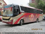 Panamericana Internacional  Miral Autobuses Infinity 370 Volkswagen 17.230 EOD