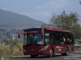 Bus Trujillo TRU-073, por Jesus Valero