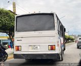 Particular o Desconocido 04 por Leonardo Saturno