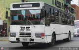 CA - Unin de Conductores Dulcinea C.A. 95