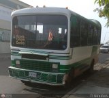 ZU - Colectivos La Limpia - La Estrella 038, por El Niobs