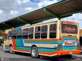 Transporte Bonanza 0001 por Santiago Dorante