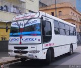 Asoc. Coop. Biruaca - San Fernando 30 Intercar Viale-Torino Iveco 120E18