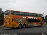El Pulqui S.R.L. 037, por Alfredo Montes de Oca