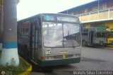 LA - Metrobus Lara 602, por Moiss Silva Colombo