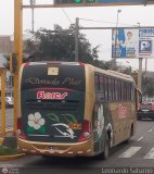 Transporte Flores Hermanos S.R.L (Perú) 959