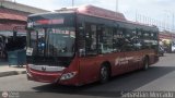 Bus MetroMara 081, por Sebastin Mercado