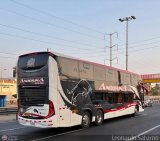 Grupo Laes (Per) 205