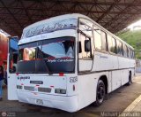 Expresos La Guayanesa 318