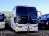 Ejecutivos Boga 28