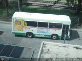 Miami-Dade County Transit 08845 Blue Bird TranShuttleCS  