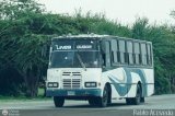 S.C. L�nea Qu�bor 91