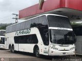 Expresos Flamingo 2020 por Marcos David M�rquez