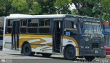 Asociaci�n Cooperativa Uni�n La Misi�n 12 por Antonio Casamayor