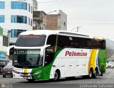 Expreso Internacional Palomino 7056, por Leonardo Saturno