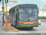 Metrobus Caracas 523, por Alfredo Montes de Oca