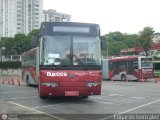 Bus CCS 0126 por Edgardo Gonzlez