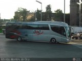 Omnibús de Cancún 132, por Alfredo Montes de Oca