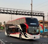 Grupo Laes (Per) 205