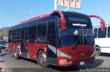 A.C. Transporte Vencollano 11