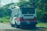 BA - A.C. Juan Pablo II 39