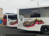 Garajes Paradas y Terminales Puerto-la-Cruz, por Josue Snchez