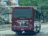 A.C. de Transporte Encarnaci�n 086, por Pablo Acevedo