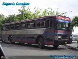 Transporte Bonanza 0003, por Edgardo Gonzalez