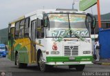 CA - Asociacin de Transporte Palmival 10