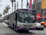 Consorcio del Corredor Morado (Per) 462