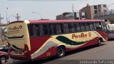 Empresa de Transporte Perú Bus S.A. 964