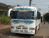 A.C. Transporte Paez 023